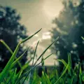 技能徽标 2