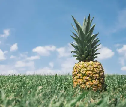 末班公交的尾灯